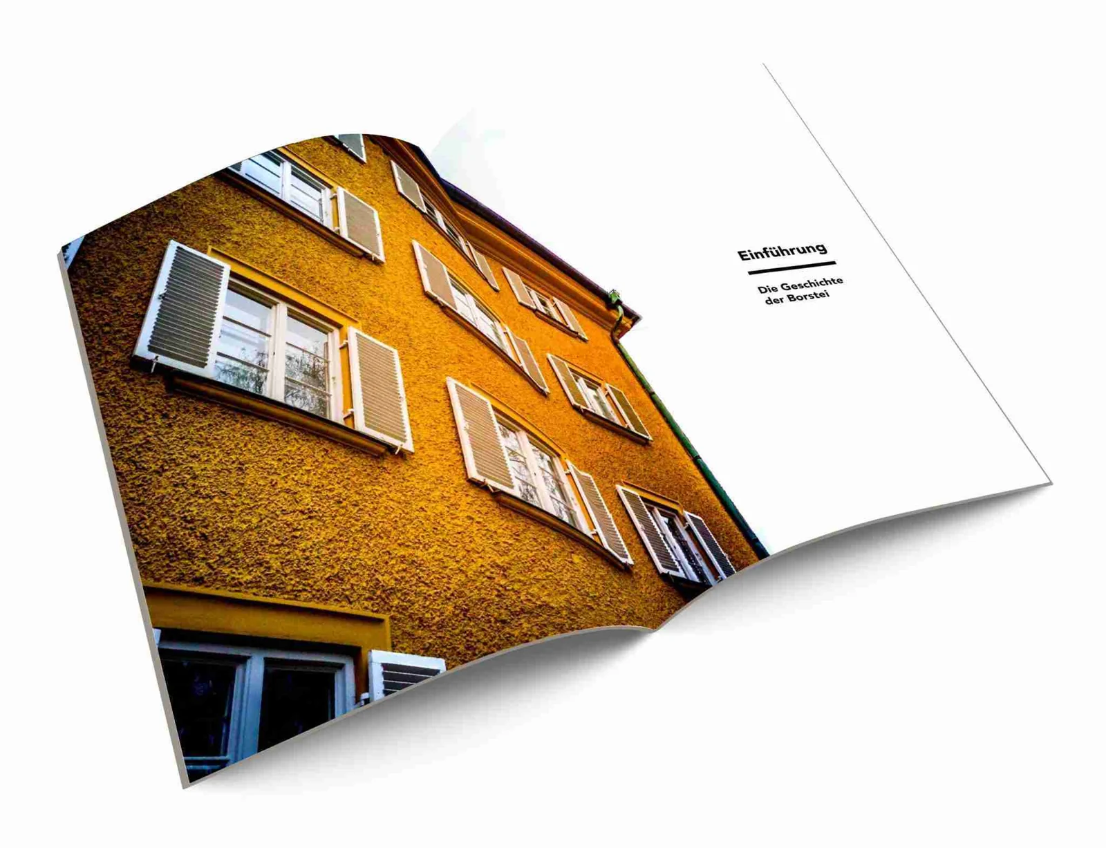The intro cover of the analysis.